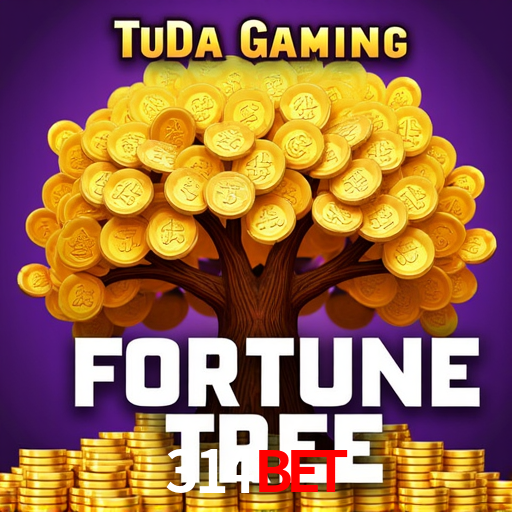 Experiência VIP 314bet